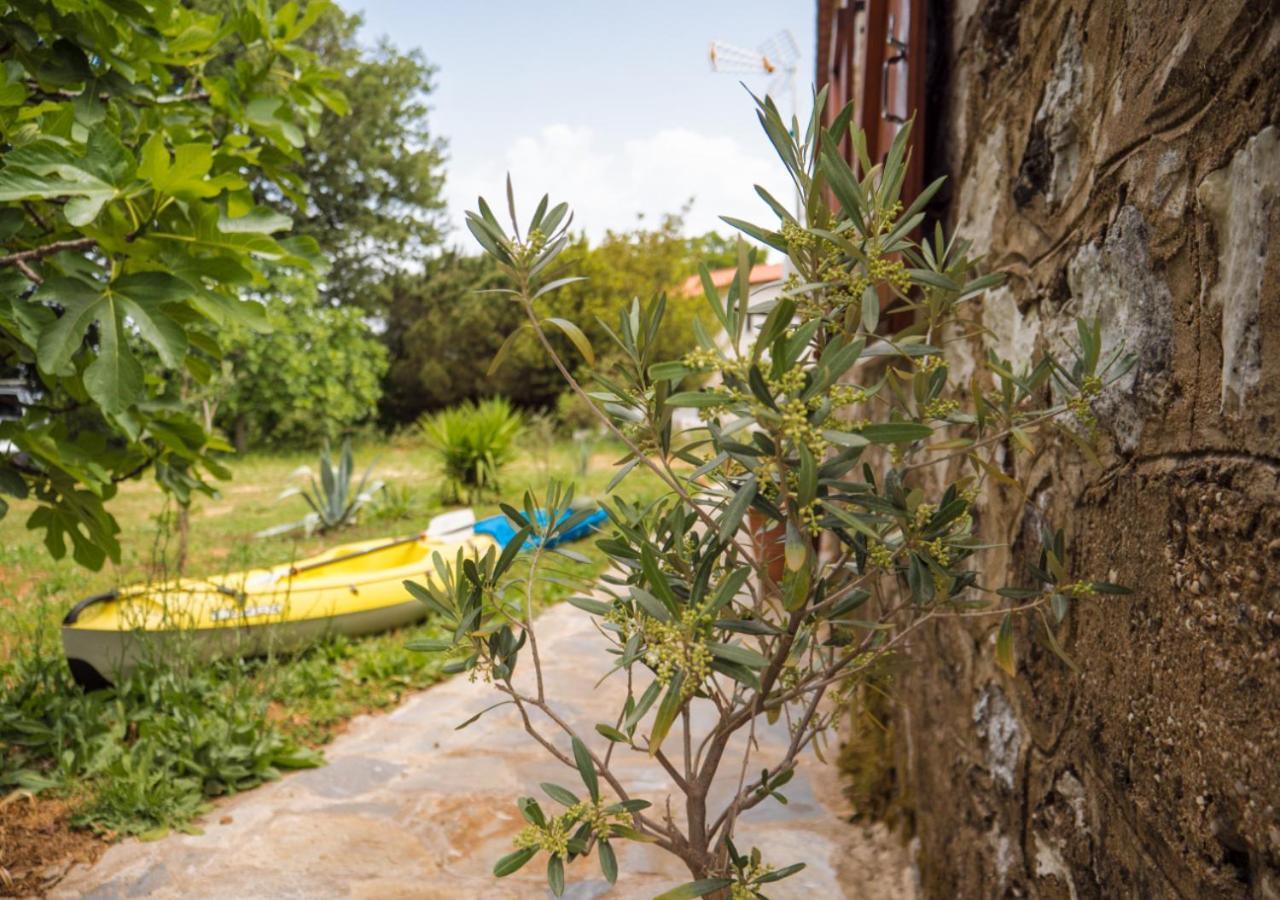 Santa Cruz Country Cottage Kallithea  Exteriér fotografie