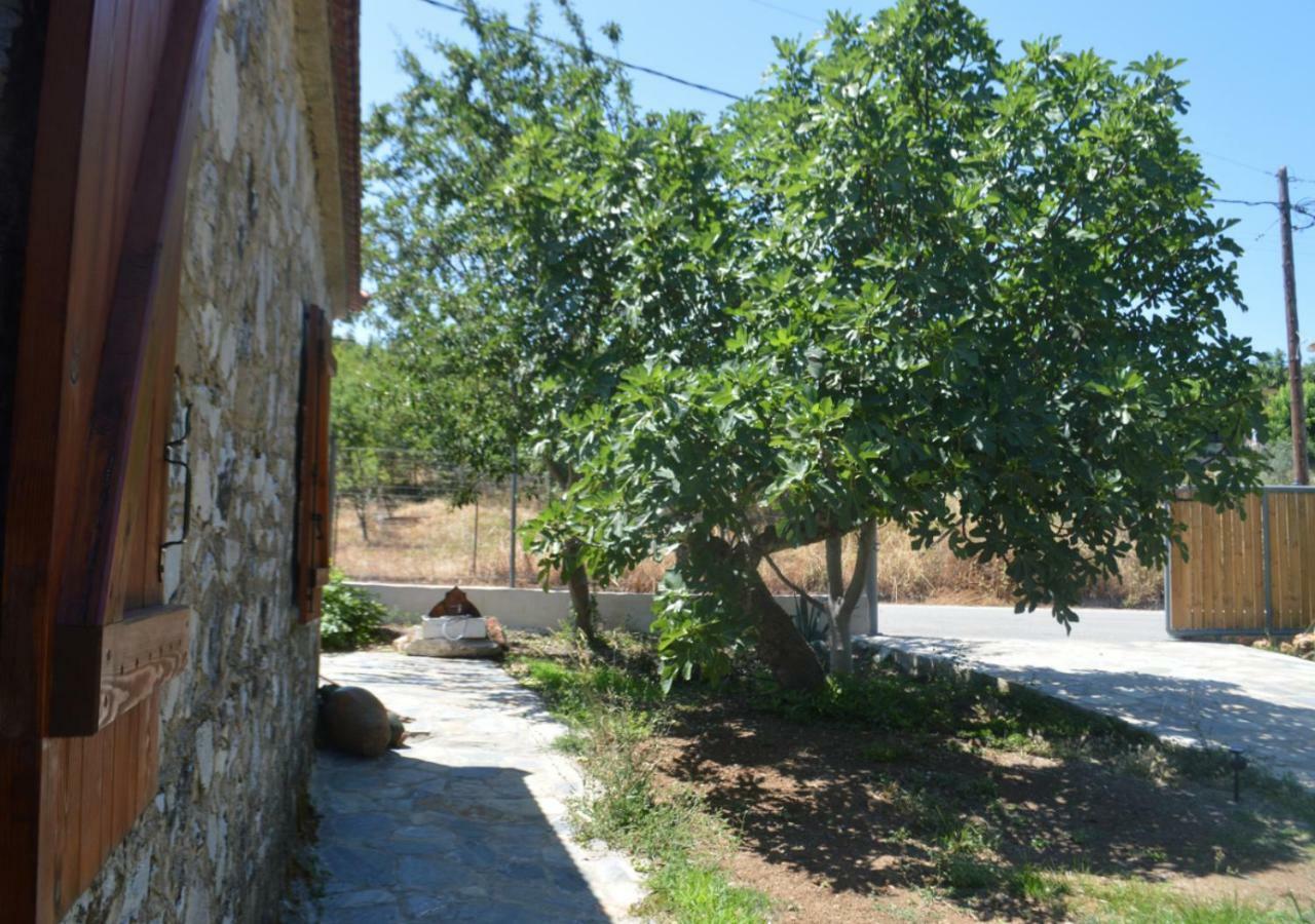 Santa Cruz Country Cottage Kallithea  Exteriér fotografie